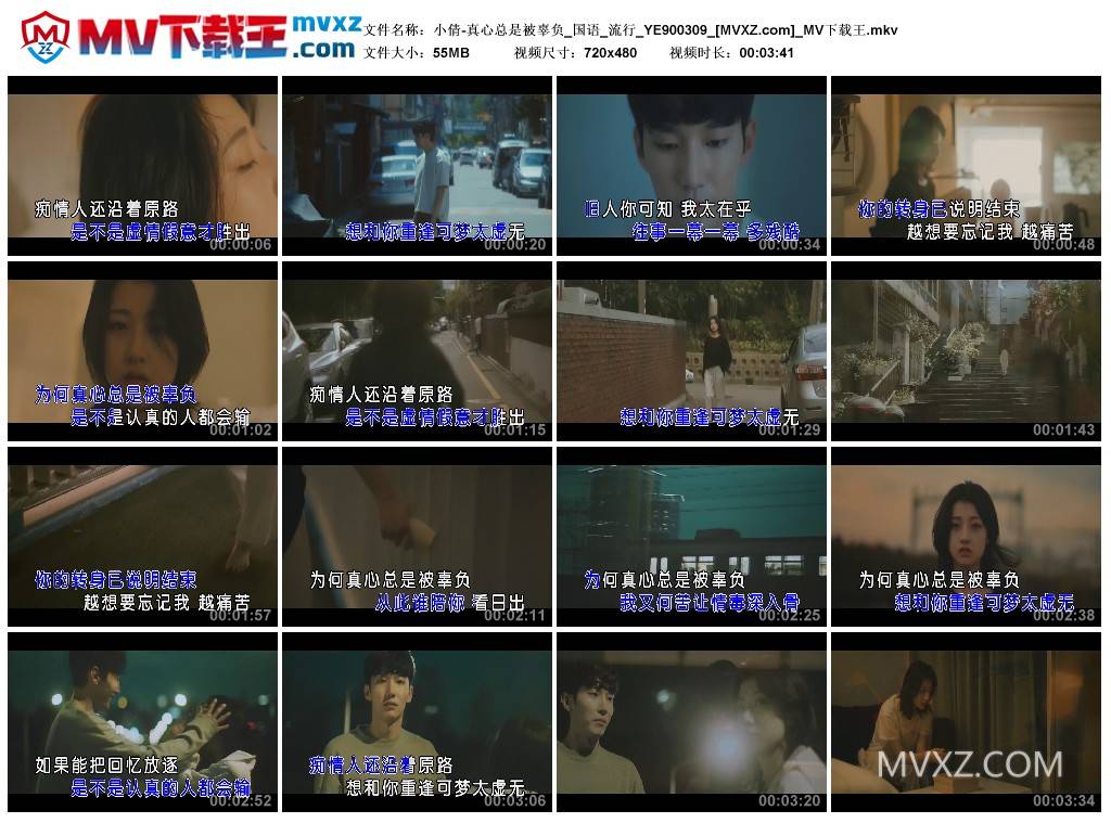 小倩-真心总是被辜负_国语_流行_YE900309